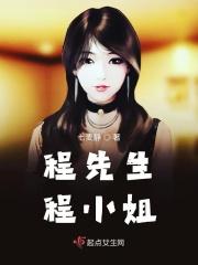 程先生