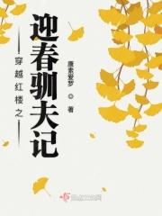 穿越红楼迎春驯夫记
