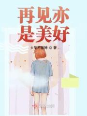 再见亦是美好电视剧在线观看