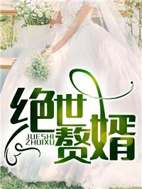 绝世赘婿短剧免费完整版
