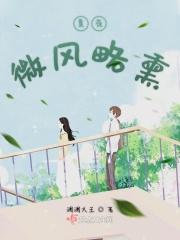 夏夜晚风repo