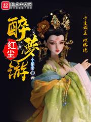 红尘一醉梦千年什么意思