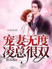 凌少宠妻无度全文阅读