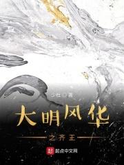 大明风华超清电视剧全集免费观看