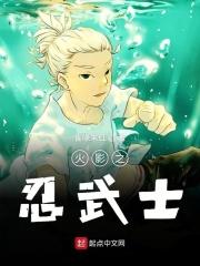 火影武士之国