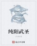 纯阳武神十