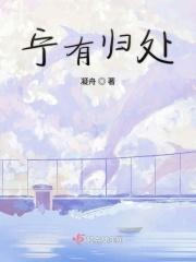 宁归来什么意思