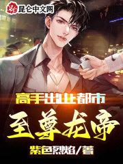 至尊高手在都市