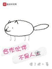 合作伙伴是什么关系