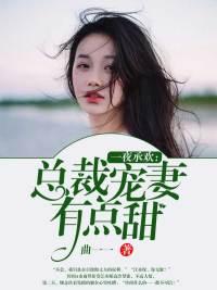 一夜钟情总裁宠妻成瘾全文免费阅读