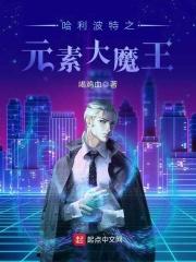 哈利波特之元素最强txt
