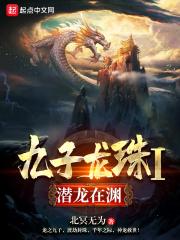 九龙珠主角