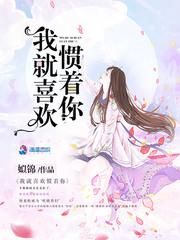 穿越大清初年