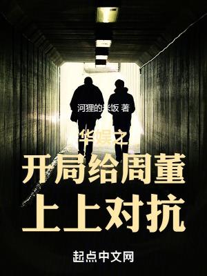 华娱之2000无错版