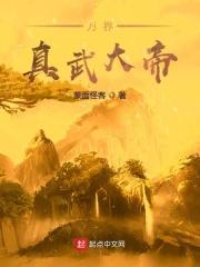 万界真武大帝类似