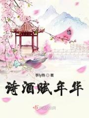 诗酒年华且从容是什么意思