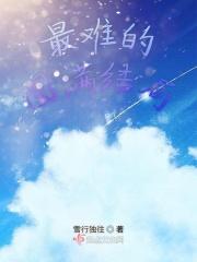 我的老板是编剧免费阅读