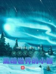 宠物小精灵之黑暗