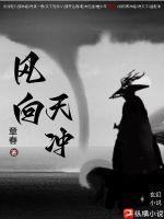 风向朝上