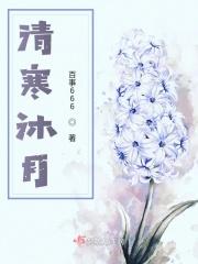 女主叫沐寒月