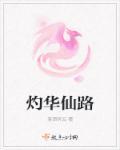 灼华网络科技