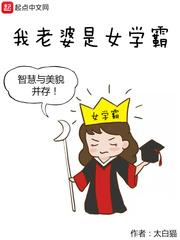 我老婆是女学霸简介