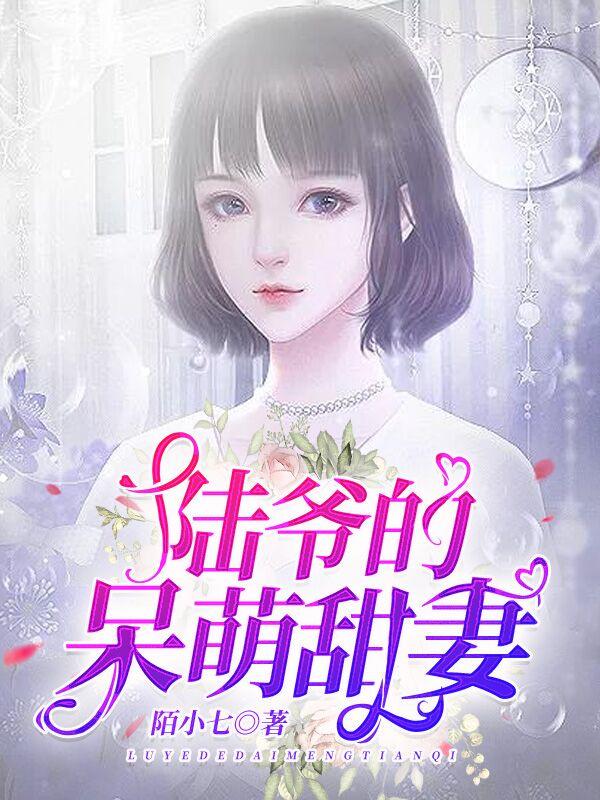 苏醒陆明琛叫什么书名