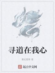 寻道的含义