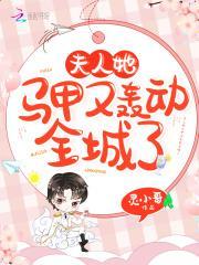 乔念叶妄川最新章节免费阅读