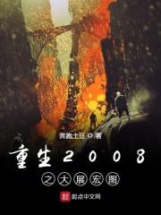 重生之2008年