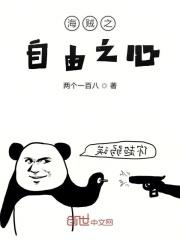 海贼之致命守护