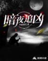 暗夜追凶在线阅读