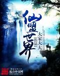 仙盟战队阵容在哪里