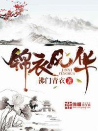 锦衣年华含义