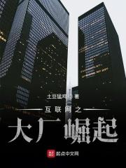 互联网大厂是什么意思?是什么公司的?