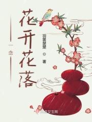 一念花开花落败四季无你太苍白是什么歌