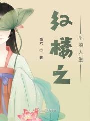 红楼之平妻谋略续写