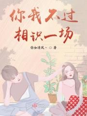 你我不过相识一场是什么歌