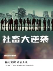 社畜大逆袭之绝地通天 多好鱼