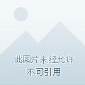 签到千年我无敌了