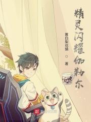 伽勒尔地区形态精灵