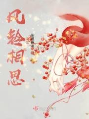 风铃相思免费阅读