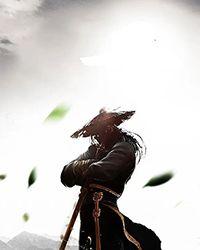 全职法师元素至尊