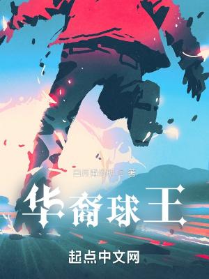 华裔球员汇总