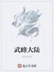 武峰作品