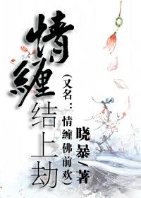 锦衾灿兮 txt