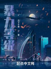 暴力等级用英语怎么说