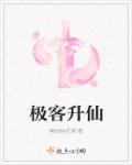 极客模式是干什么的