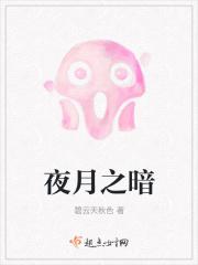 月之暗面 表