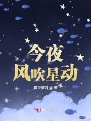 今夜晚风吹是哪首歌的歌词